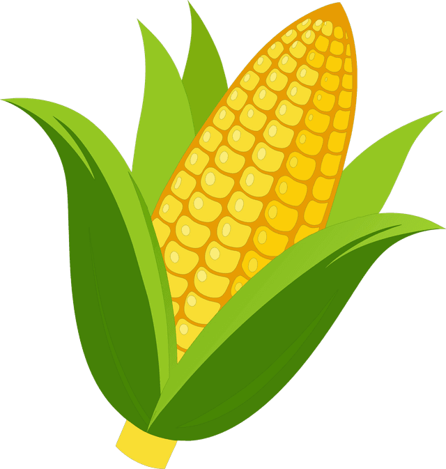 Corn